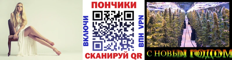 Где найти наркотики Димитровград блэк спрут ссылка