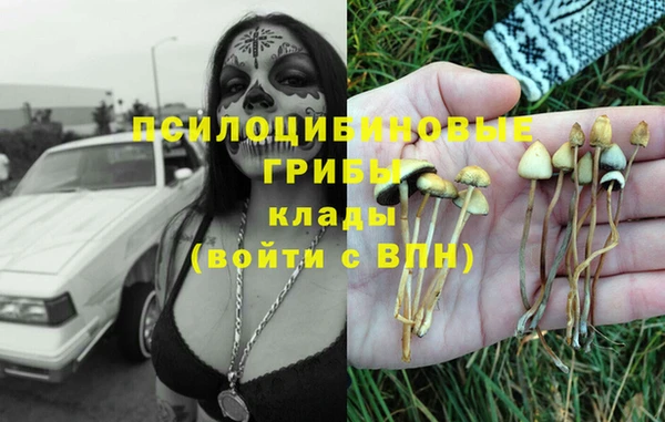 бутират Бородино