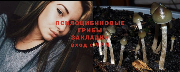 бутират Бородино