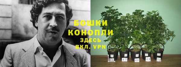 бутират Бородино