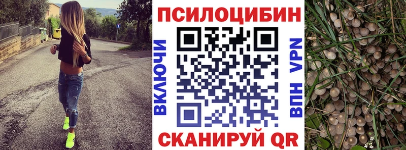 где купить наркоту  hydra как зайти  Псилоцибиновые грибы GOLDEN TEACHER  Димитровград 